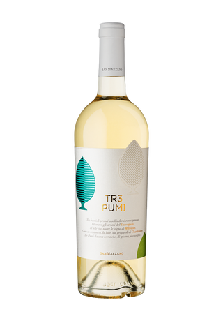 TR3 Pumi | Sauvignon-Malvasia-Chardonnay